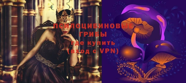 амф Богородицк