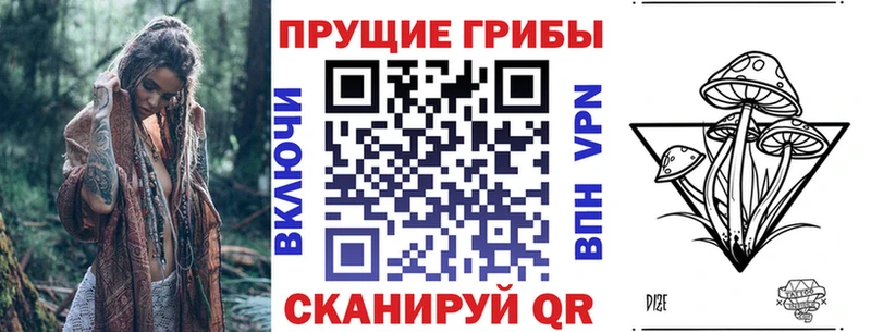 Купить закладки  Краснотурьинск  Псилоцибиновые грибы MAGIC MUSHROOMS 